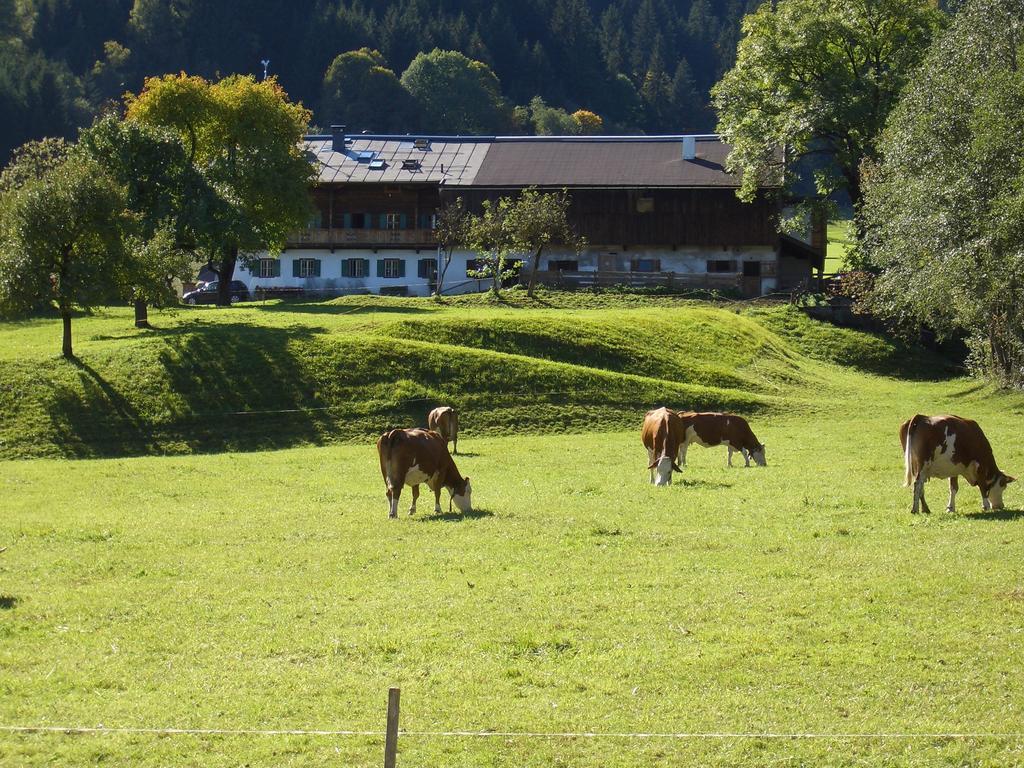 Hotel Garni Zimmermann Reith bei Kitzbühel Exteriér fotografie