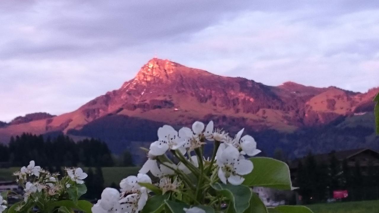 Hotel Garni Zimmermann Reith bei Kitzbühel Exteriér fotografie