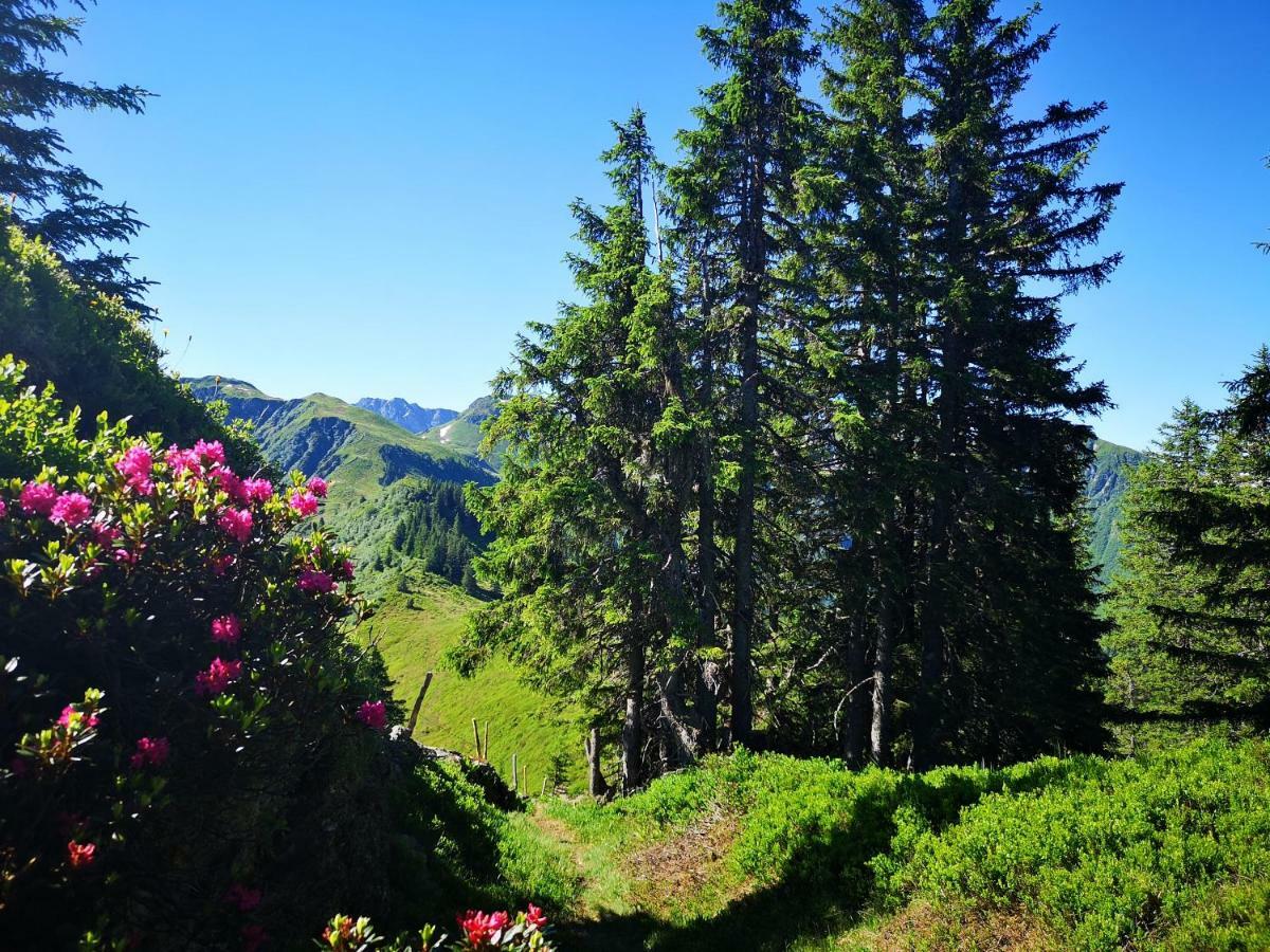 Hotel Garni Zimmermann Reith bei Kitzbühel Exteriér fotografie